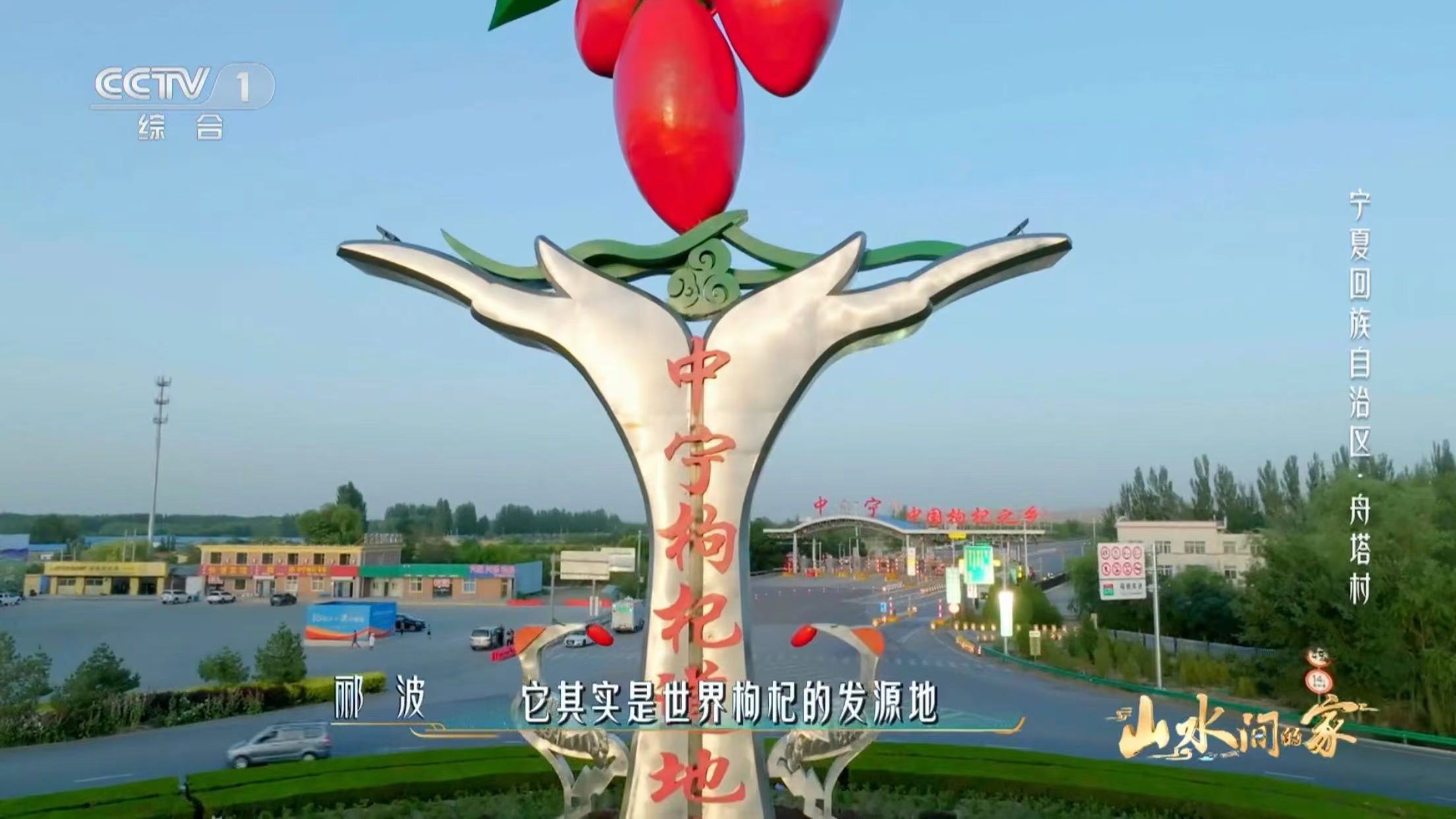 《山水间的家》第二季走进宁夏中宁 聚焦中国枸杞之乡发展巨变